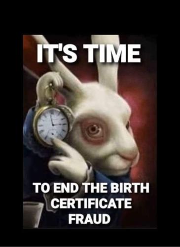 oeLuHgNBF7wJAVBDBaxr_10_bbfecc4019a3c8e893def19dffc725b8_image_original