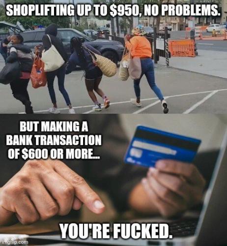 F9B351F1-8B74-49AC-8D56-A2B742CDC5D6