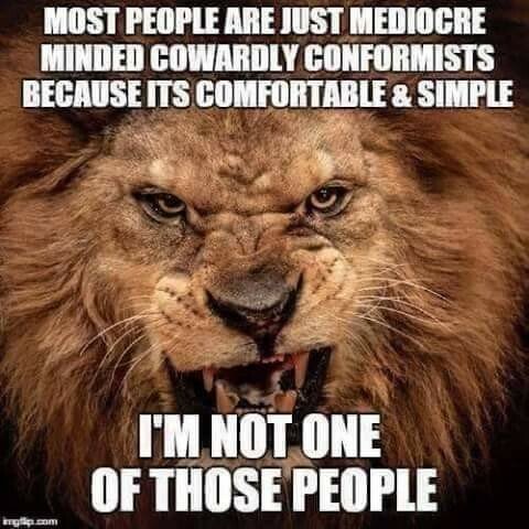 A2F92C4B-EAA8-4296-B30E-3DBB320B65F7