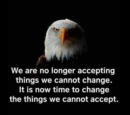 C3C157B8-2B5F-4AB0-A127-FFF10B6531A0