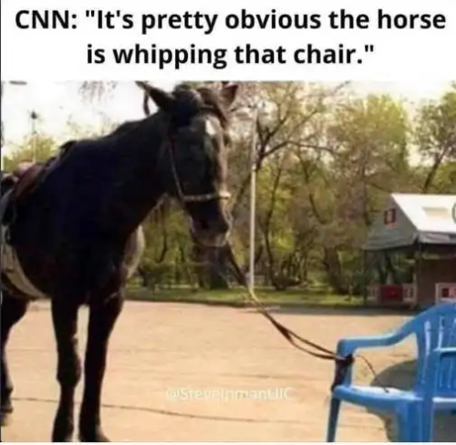horse