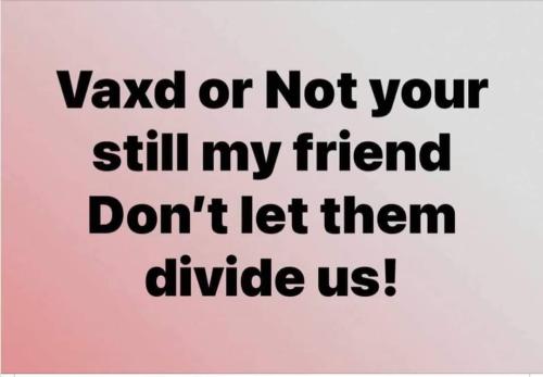 243127790_611387746967248_4870029579850373129_n