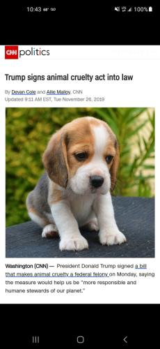 Screenshot_20211025-224321