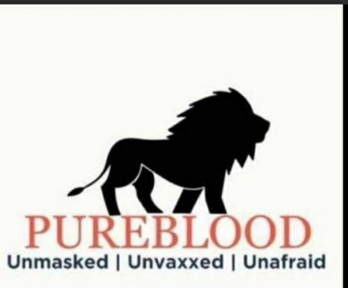 9591D87B-37FF-4814-A042-F5A0D5139B02