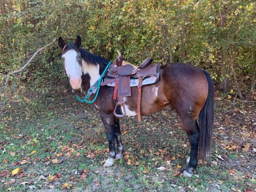 1EE08A88-C82A-4162-8151-C40FC6B64E70