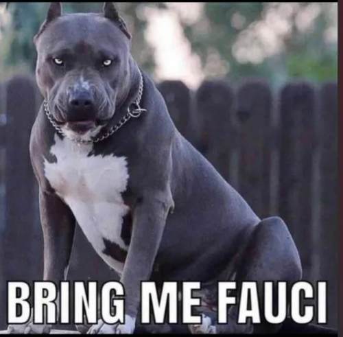 Capture+_2021-10-31-04-02-30(1)