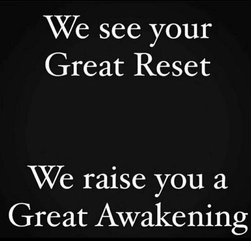 WE SEE YOUR GREAT RESET