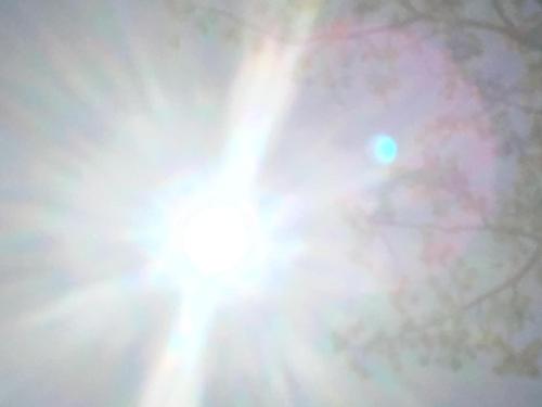 489178F5-0E73-423E-AFCE-8146D2EA4314