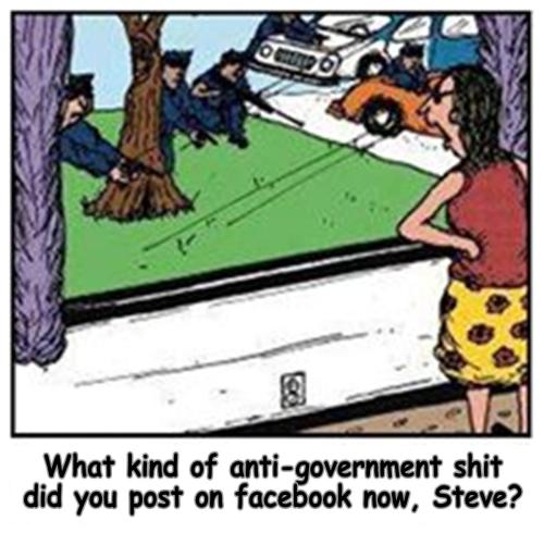 Anti-government Posts