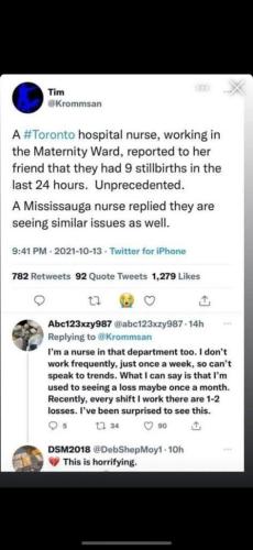 Stillborns1