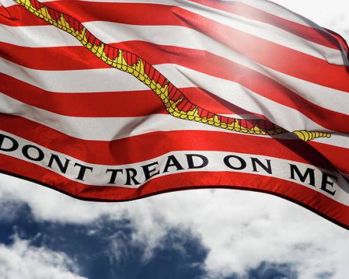 dont-tread-on-me-flag-with-blue-sky-ron-koeberer