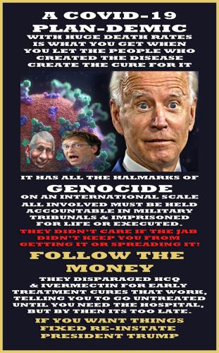 1-1-A-A-A-A-A-A-A-BIDEN-A-PLANDEMIC