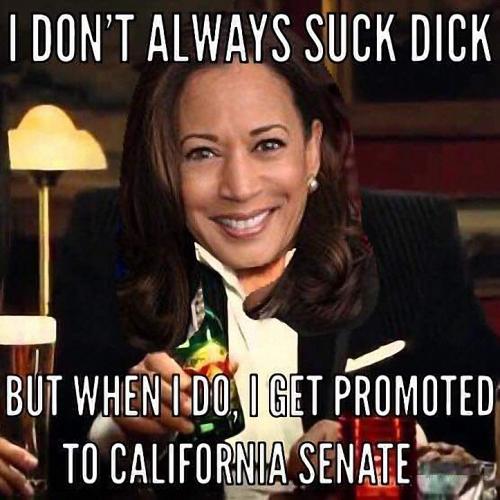 Kamala Don't Always Suck Get Promoted
