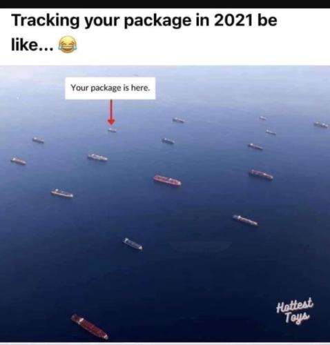 D151164E-7101-4CBD-A896-428466F75301