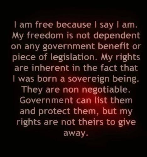 1380552_655831657769958_1862445637_n