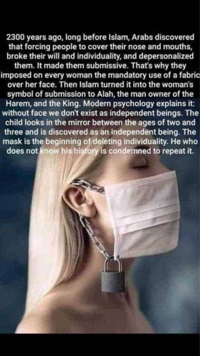 image_1635088805.952