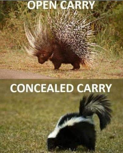 open carry