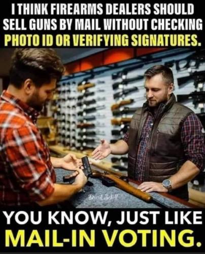 GunsMailInVoting