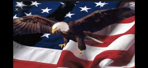 45413383-5E64-4B4C-8A8A-E42691358A1A