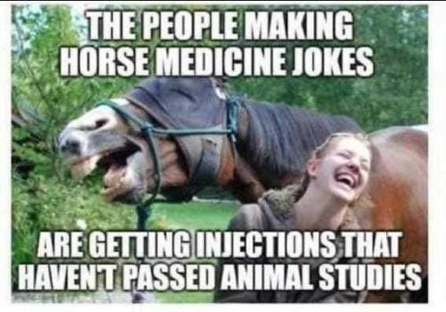 HorseMeds