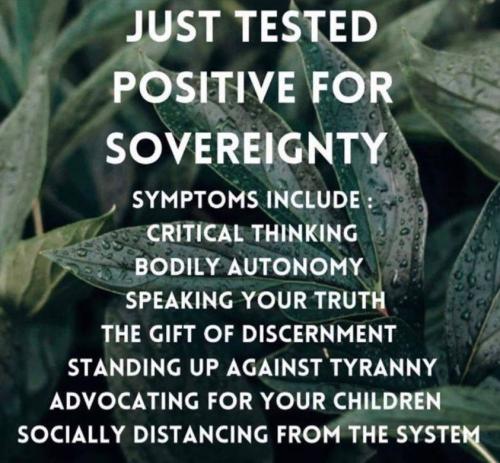 247665307_6279398162133156_4431355417116552005_n