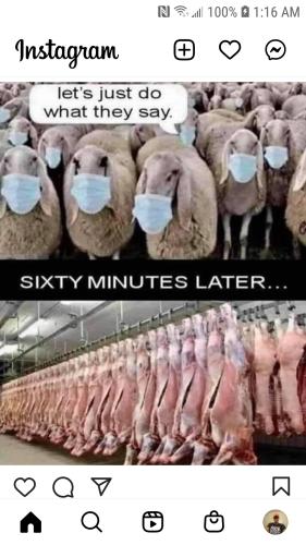 image_1633903388.987