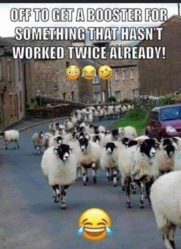 FB_IMG_1633282083383