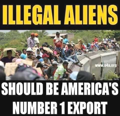 No 1 export