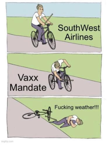 photo_2021-10-12_18-15-52