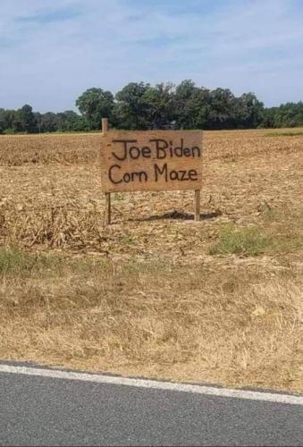 Joe Biden Corn Maze