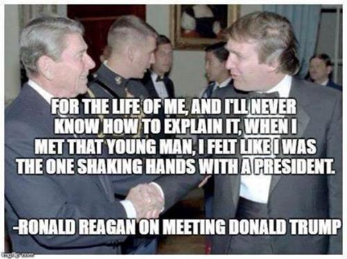 Donald113