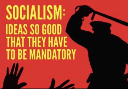 2C61A427-478C-4621-A162-8DEBD24A3A0D