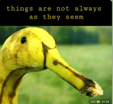 IMG_20210713_144910_293