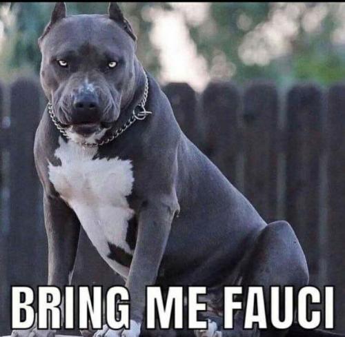 18F40E8C-9E90-408D-AE03-2CB7F84A8FD0