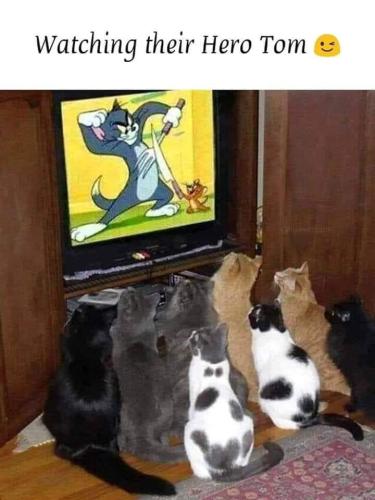 FB_IMG_1635209095201