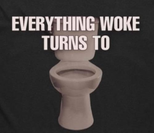 image_1629933331.046