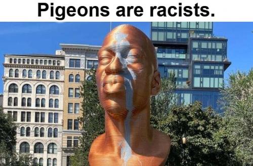 Pigeons are racist