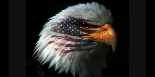 Screenshot_20181117-100340