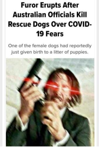 Screenshot_20211020-224353_MeWe