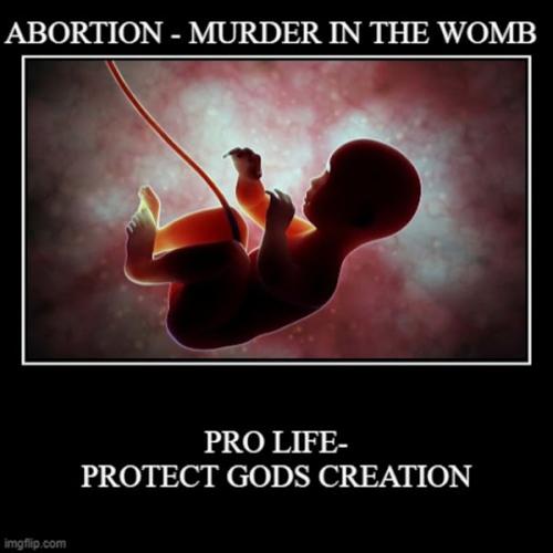 PROLIFE (1)
