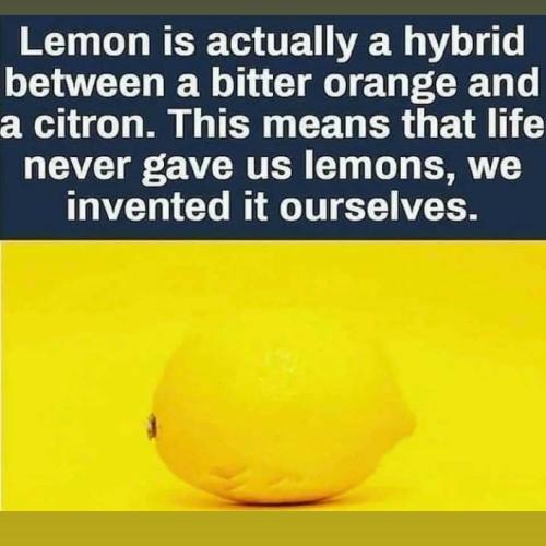 IMG_20211027_083535_188