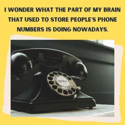 r8pmvc6JRahl4GbZnFW3_10_e22baf9c7304c25e1289d88160c7b37b_image