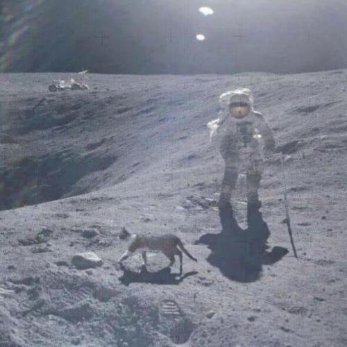 67035BA7-2A6F-482C-A931-319472EE3913