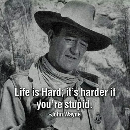 stupid