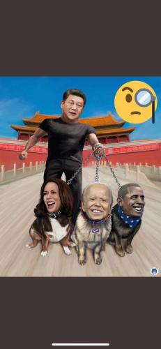 image_1635267961.356