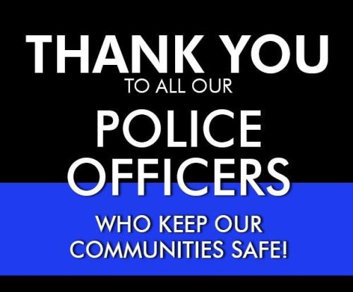 BLUE POLICE