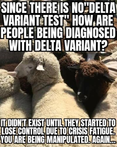 SmartSelect_20211009-194757_DuckDuckGo