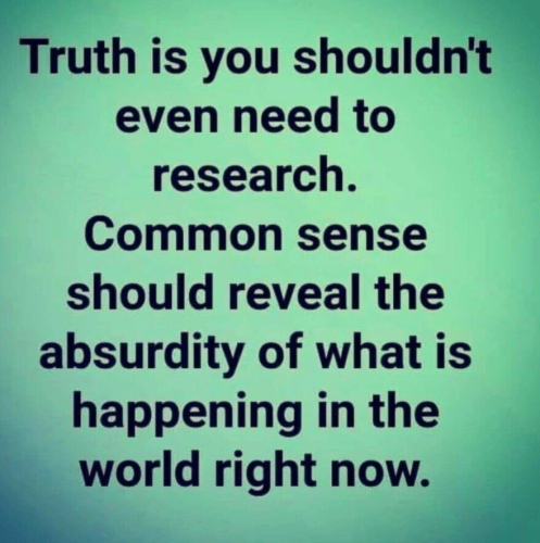 img - 2021-10-31T095459.756