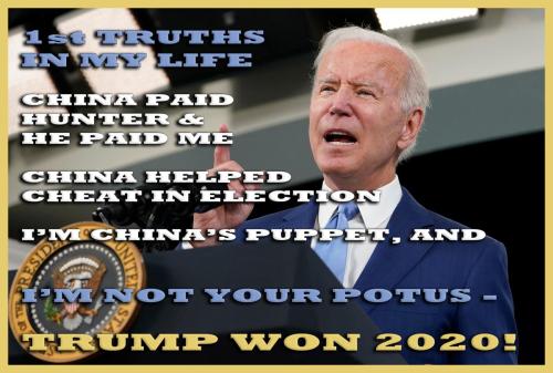 1-1-A-A-A-A-A-A-A-BIDEN-DUMMY-NOT-YOUR-POTUS-1