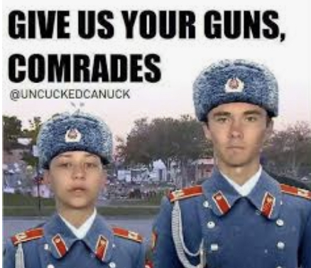 D0446D46-E8BE-4E40-9FF2-C1FF39762BBE